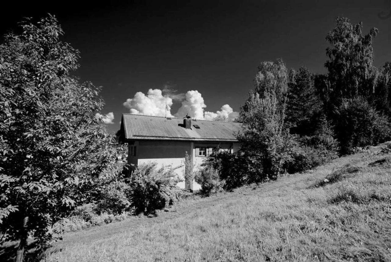 Ferienwohnungen Haus "Wildschuetz" فراوناو المظهر الخارجي الصورة