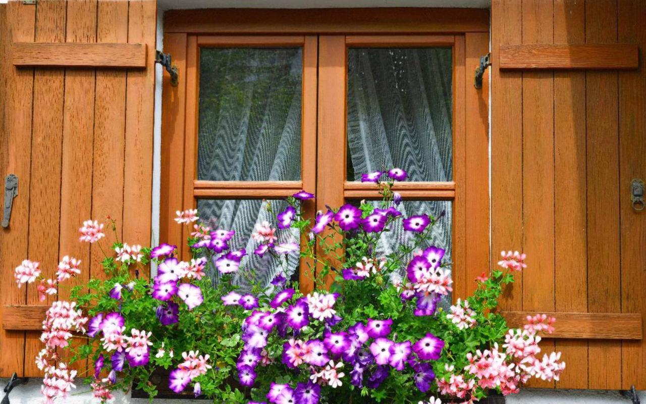 Ferienwohnungen Haus "Wildschuetz" فراوناو المظهر الخارجي الصورة